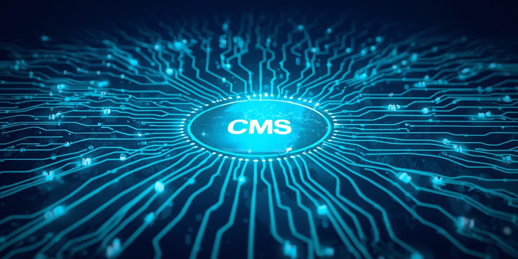 1. The Importance of CMS System