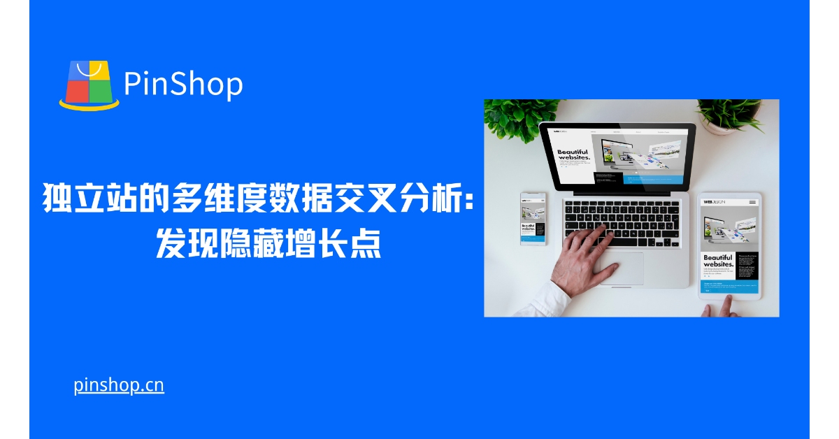 独立站的多维度数据交叉分析：发现隐藏增长点