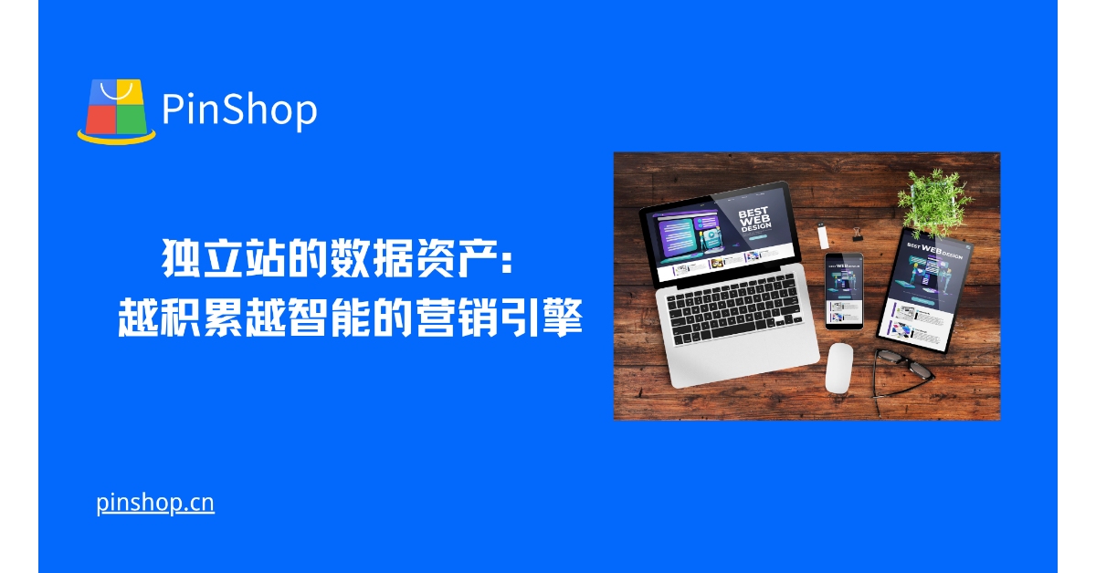 独立站的数据资产：越积累越智能的营销引擎