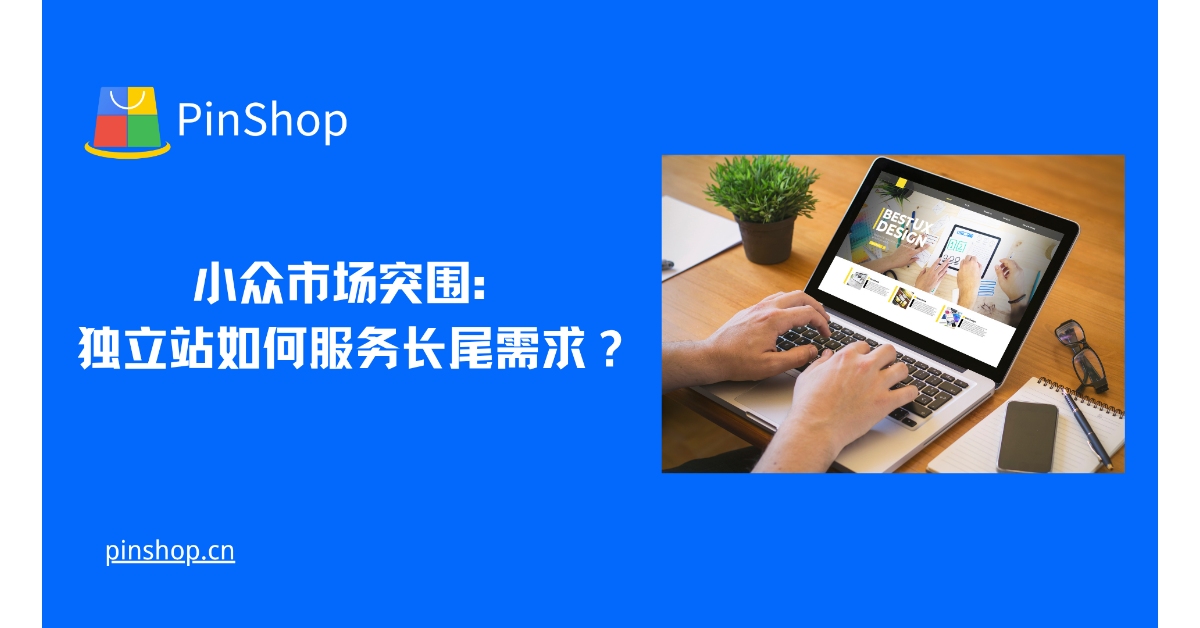 小众市场突围:独立站如何服务长尾需求?