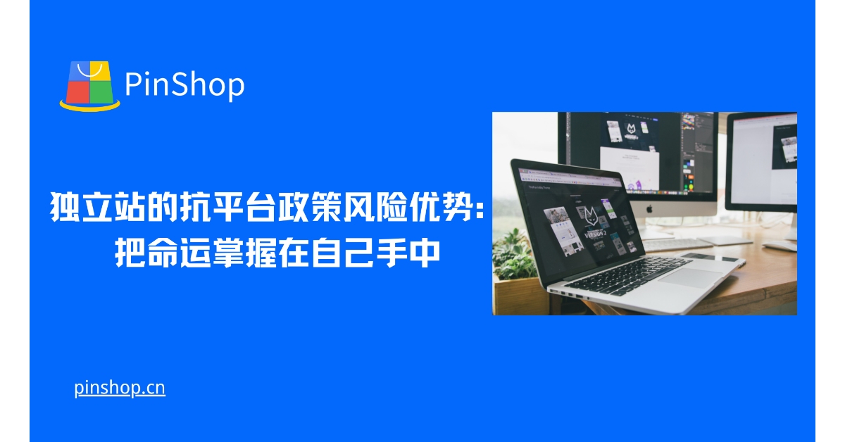 独立站的抗平台政策风险优势:把命运掌握在自己手中