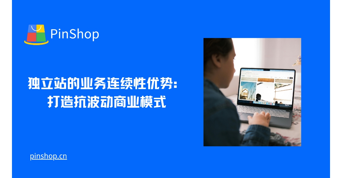 独立站的业务连续性优势:打造抗波动商业模式