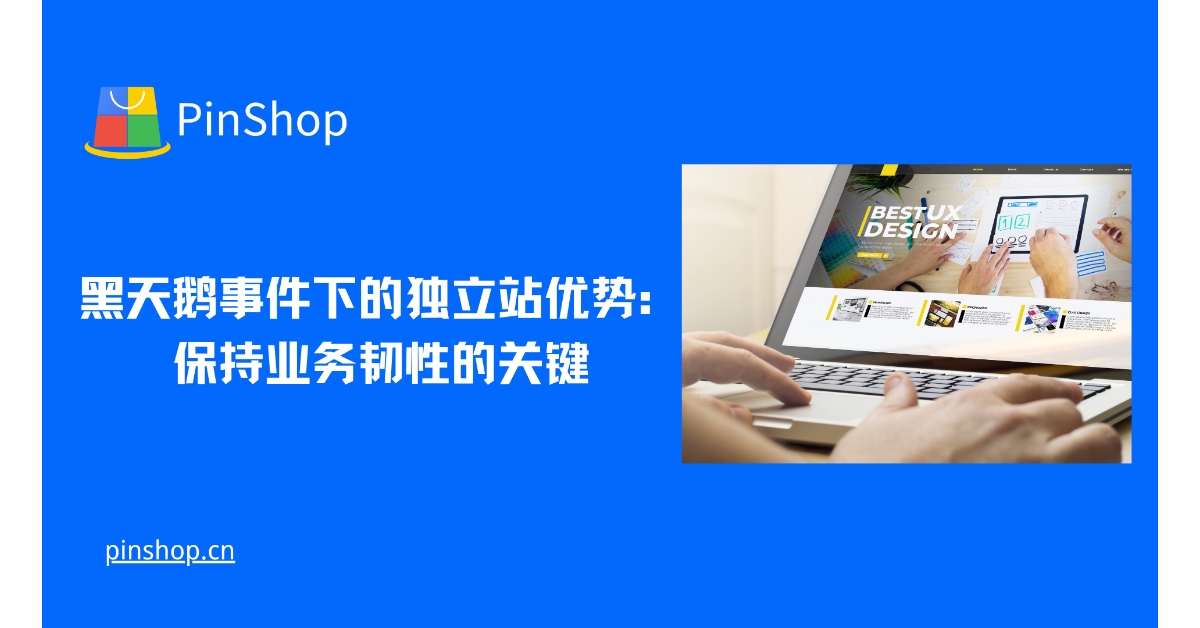 黑天鹅事件下的独立站优势:保持业务韧性的关键