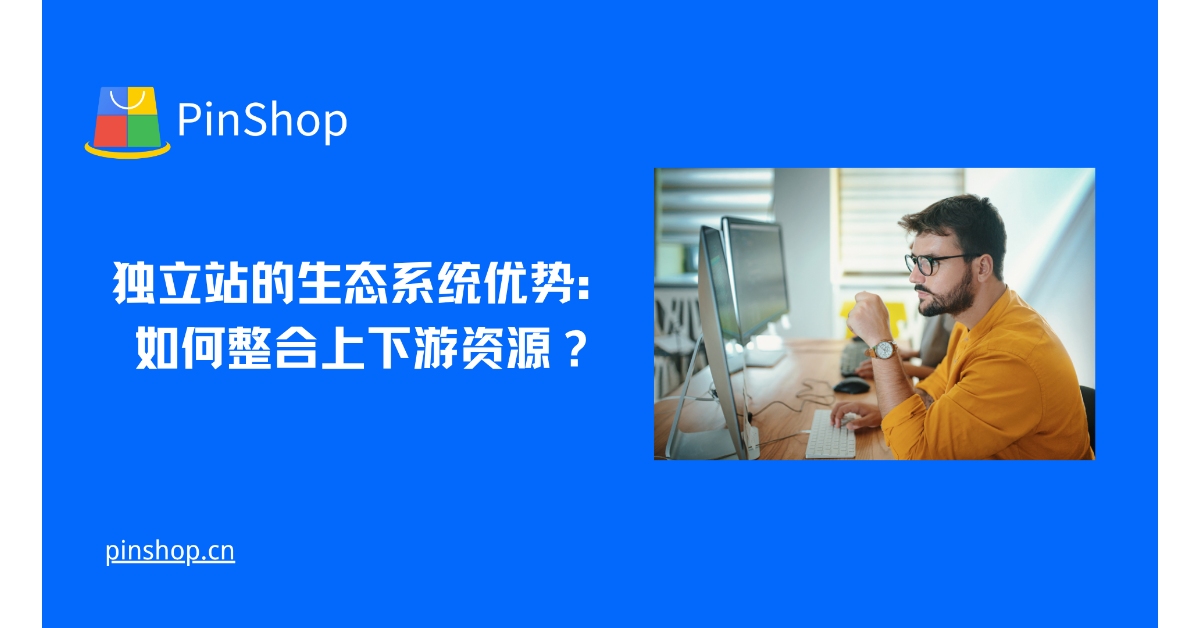 独立站的生态系统优势:如何整合上下游资源?