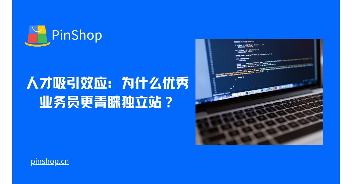 人才吸引效应:为什么优秀业务员更青睐独立站?