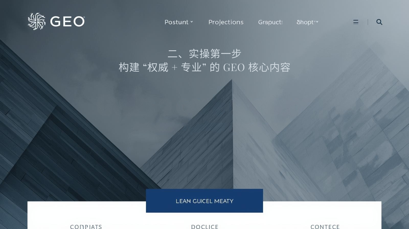 II. First Step in Practice: Building "Authoritative + Professional" GEO Core Content