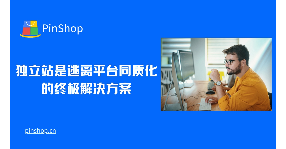 独立站是逃离平台同质化的终极解决方案