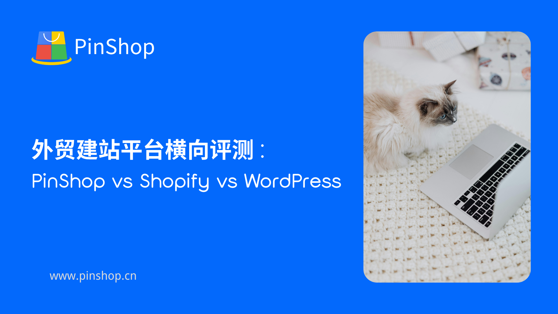 التقييم الأفقي لمنصات بناء مواقع التجارة الخارجية: PinShop vs Shopify vs WordPress